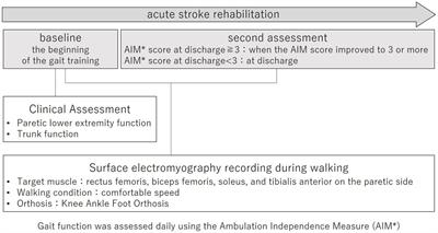 Quadriceps muscle activity during walking with a knee ankle foot orthosis is associated with improved gait ability in acute hemiplegic stroke patients with severe gait disturbance
